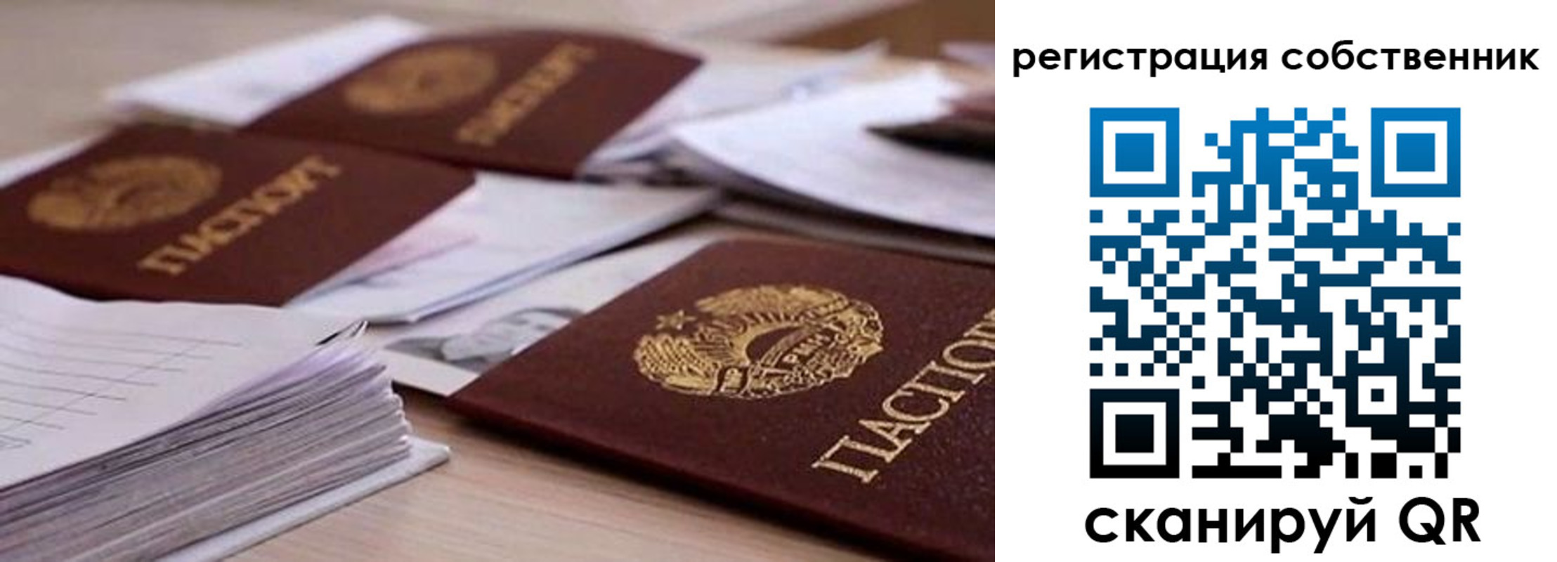 прописка штамп в Сланцах